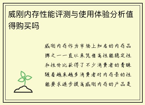 威刚内存性能评测与使用体验分析值得购买吗